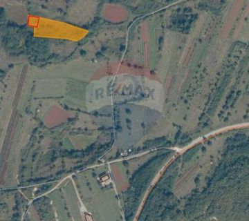 ISTRA, PAZIN OKOLICA POLJOPRIVREDNO ZEMLJIŠTE 3952m2 - cover