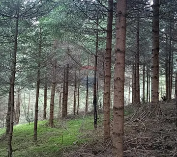 Gorski kotar, Gomirje,Oranica-šuma 6248 m2 - cover