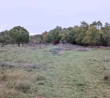 Istra, Duga uvala, negrađevinsko zemljište, površine 600m2, 1,5km od mora - cover