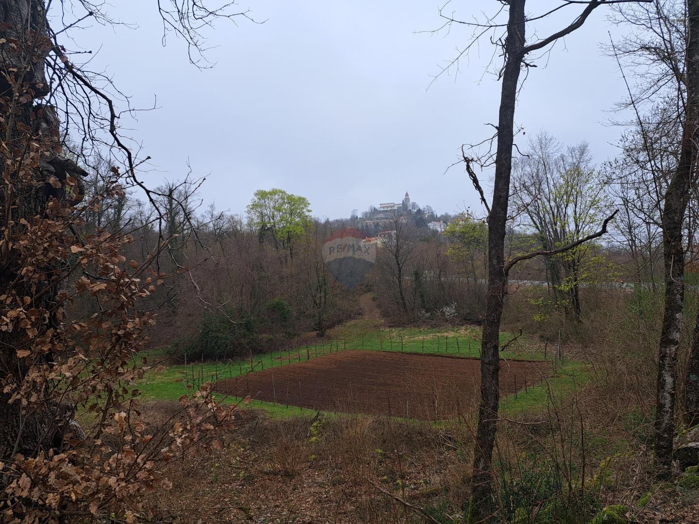 Fotografija