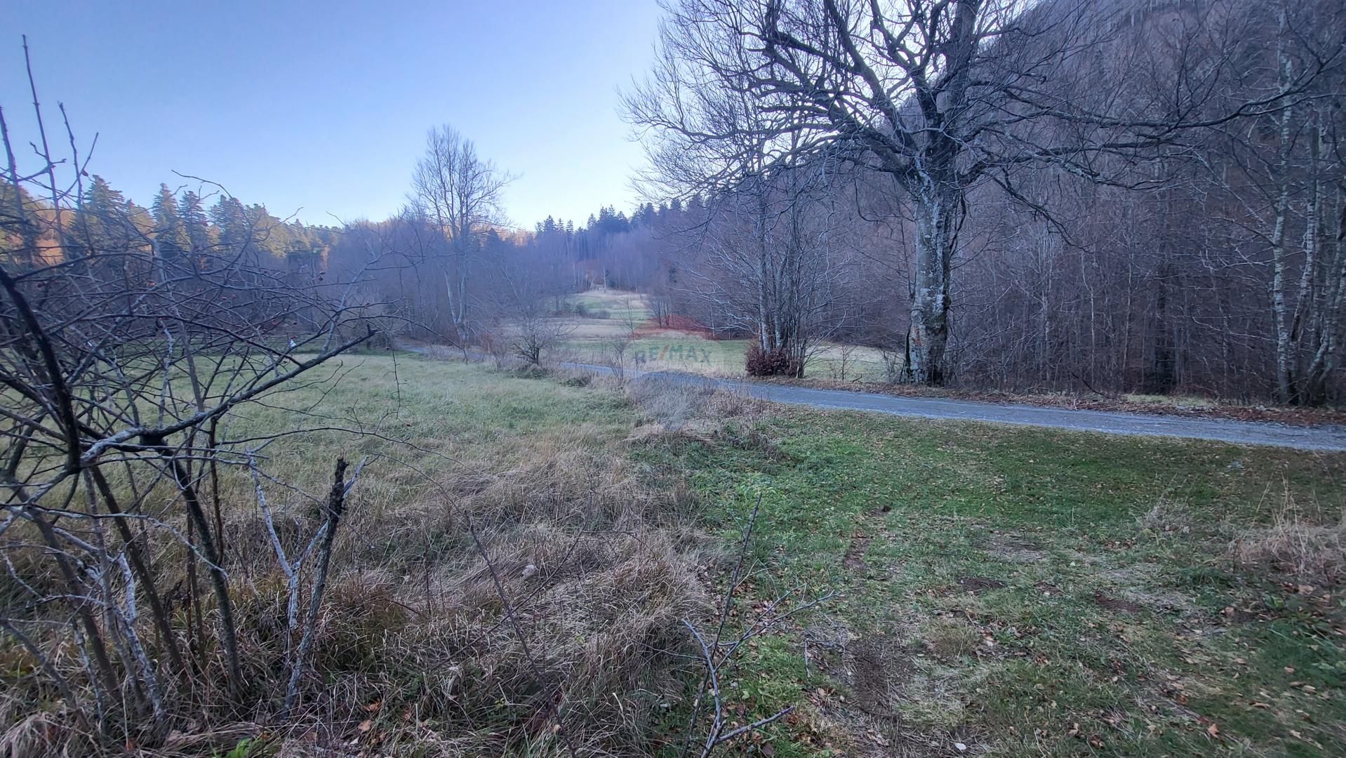Fotografija