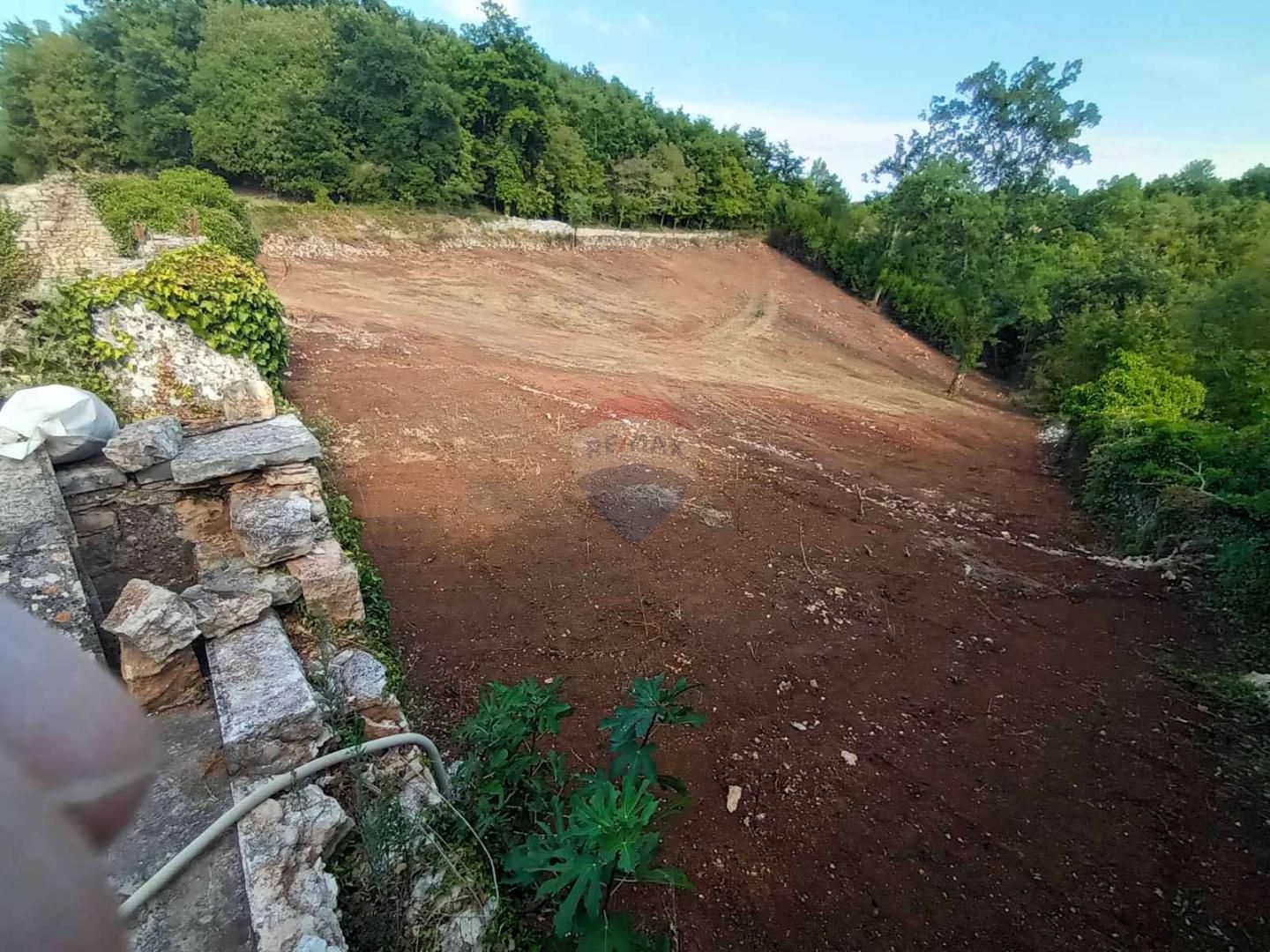 Fotografija