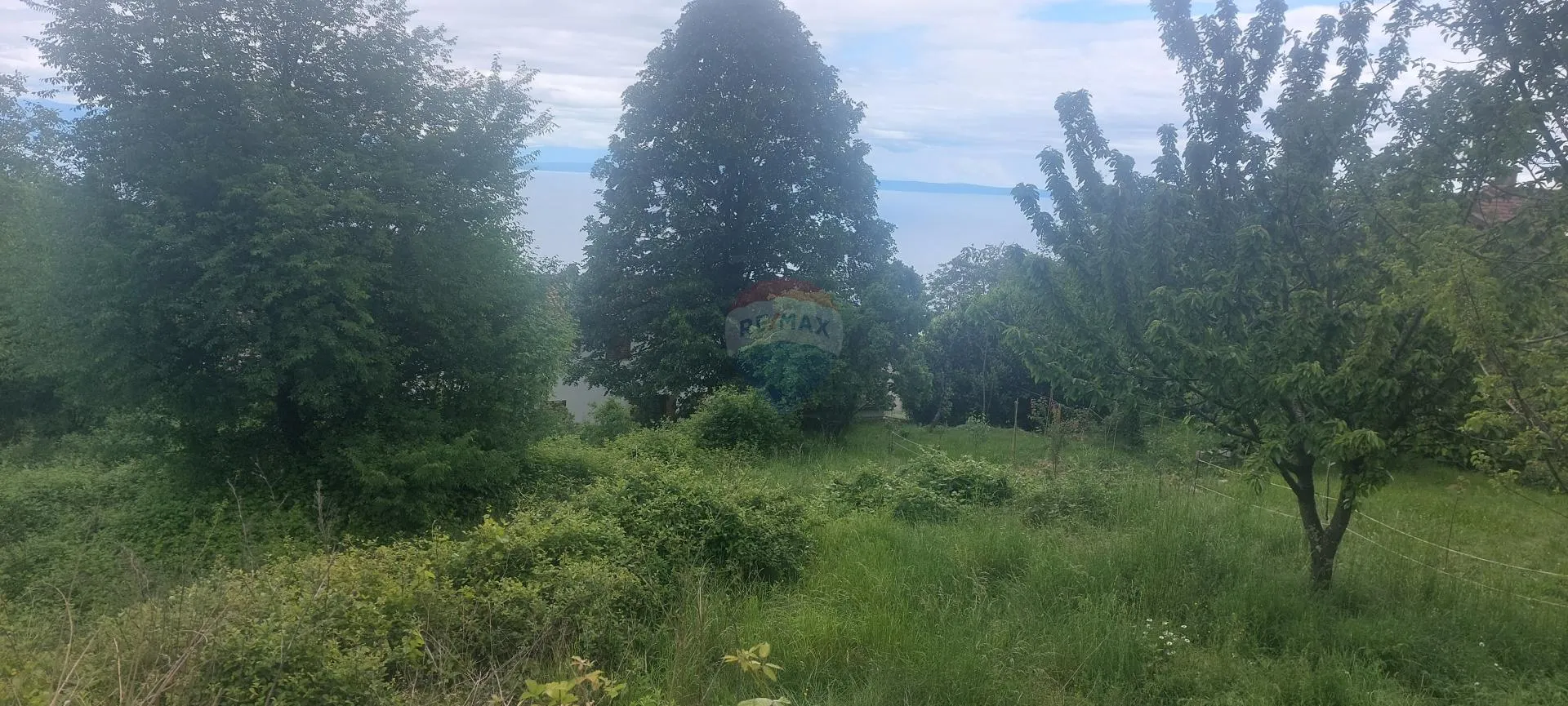 Fotografija