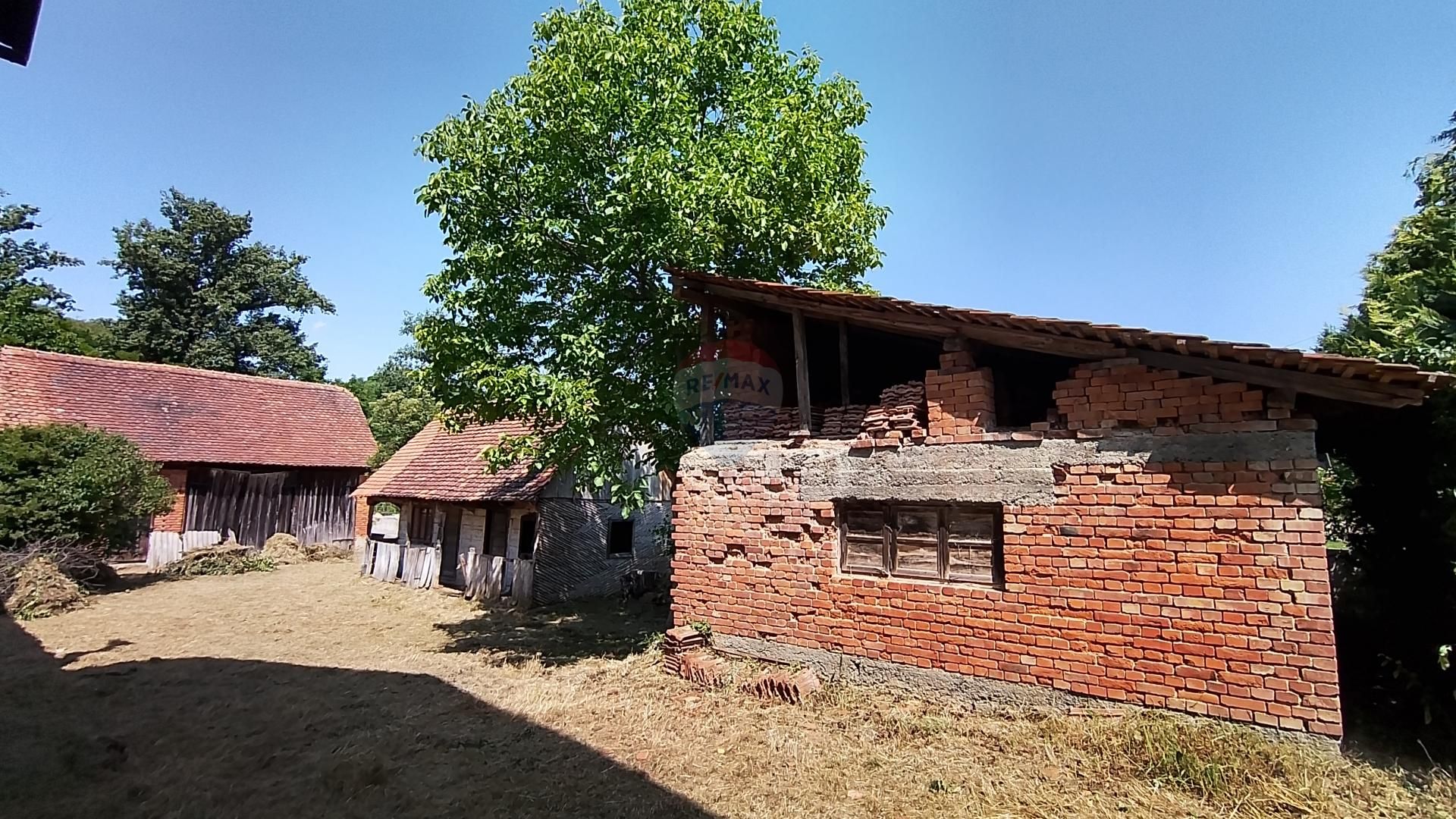 Fotografija