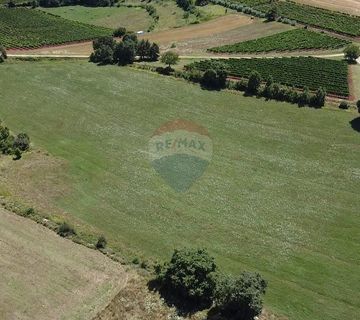 Istra, Vižinada, negrađevinsko zemljište 11 290 m2 - cover