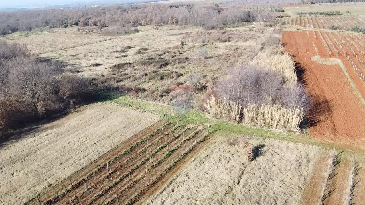 Fotografija