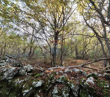 Grad Krk -  poljoprivredno zemljište - cover