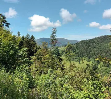Gorski kotar, Fužine - Šumsko zemljište s prekrasnim pogledom i pristupnim putom, 5399 m2 - cover