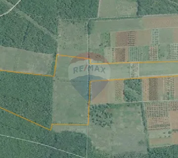 Veliki kompleks poljoprivrednog zemljišta u blizini Tar-a, Rogovići - cover