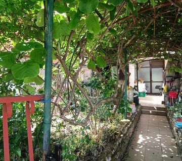 Istra, Rovinj - Višestambena kuća s 5 stambenih jedinica, dvorištem i pogledom na zelenilo - cover