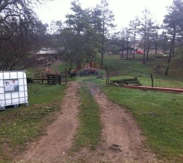 RUPA - 15.789 m2 NEGRAĐEVINKO ZEMLJIŠTE - cover