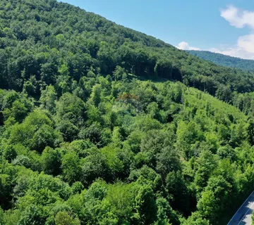 Lukovdol - poljoprivredni teren, šuma 8254 m2 - cover