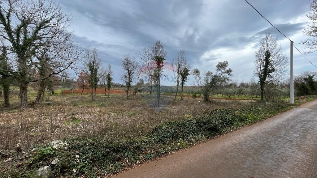 Fotografija