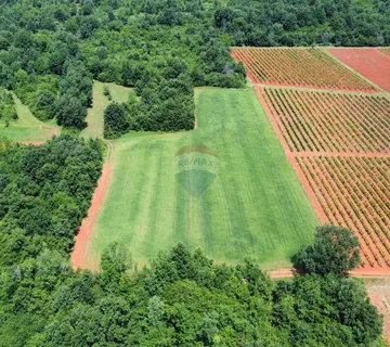ISTRA, POREČ - Zemljište Ugostiteljsko-turističke namjene 6420 m2  - cover
