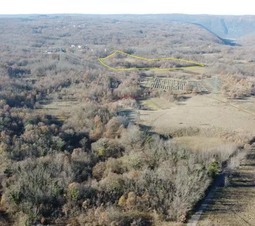 ISTRA, NEDEŠĆINA - Poljoprivredno zemljište 16959 m2  - cover