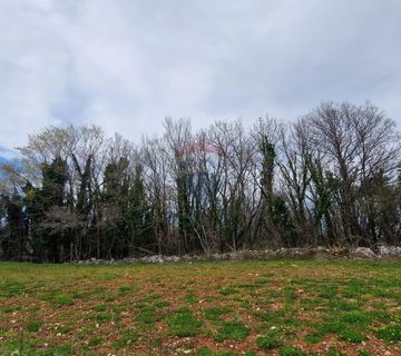 Istra, Bokordići, Negrađevinsko Zemljište 2769m2 - cover
