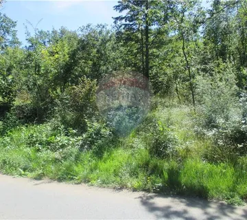 PERMANI - 13.400 M2 - NEGRAĐEVINSKOG ZEMLJIŠTA - cover