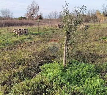 Istra,poljoprivredno zemljište u blizini Umaga i mora - cover