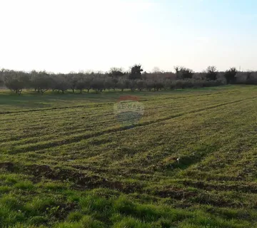 ISTRA,SMOLJANCI,GRAĐEVINSKO ZEMLJIŠTE - cover