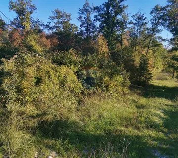 MALI BRGUD - zemljište 4276 m2 - cover