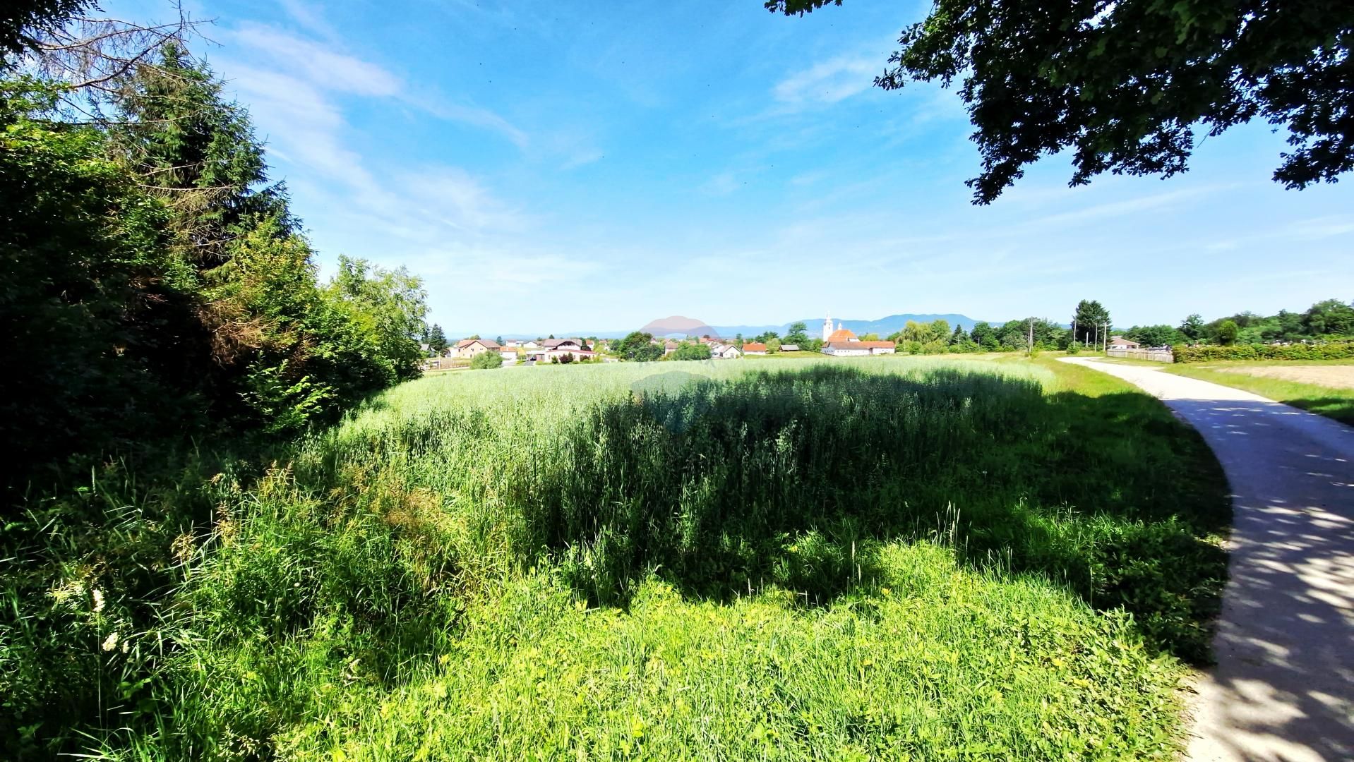 Fotografija