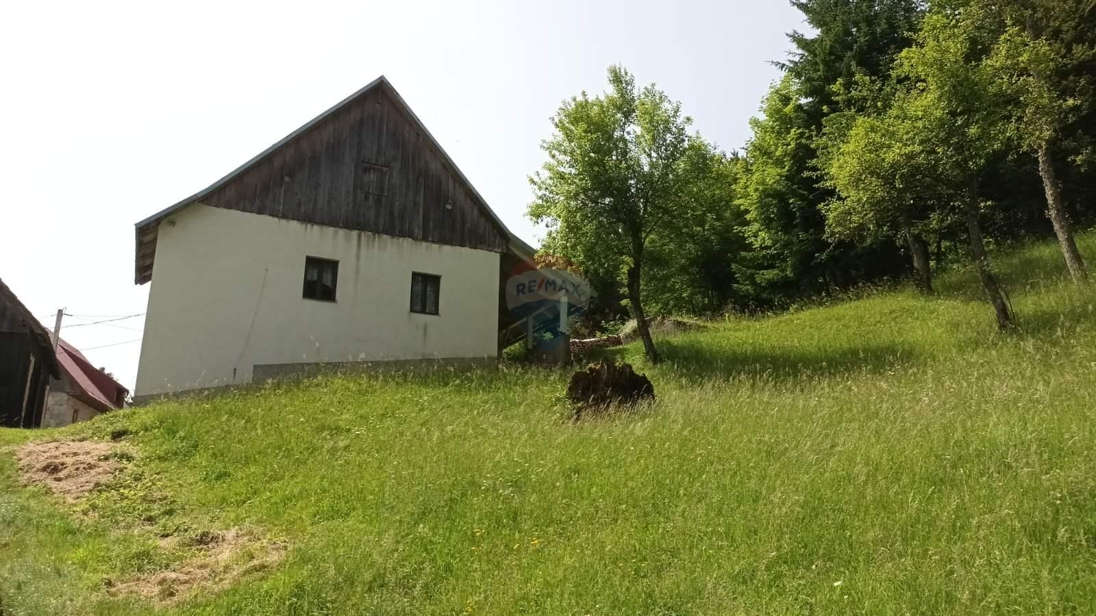 Fotografija
