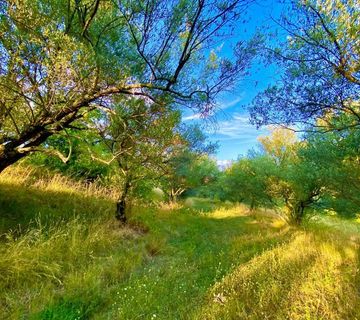 Istra, Draguć, građevinsko zemljište u prekrasnom okruženju! - cover