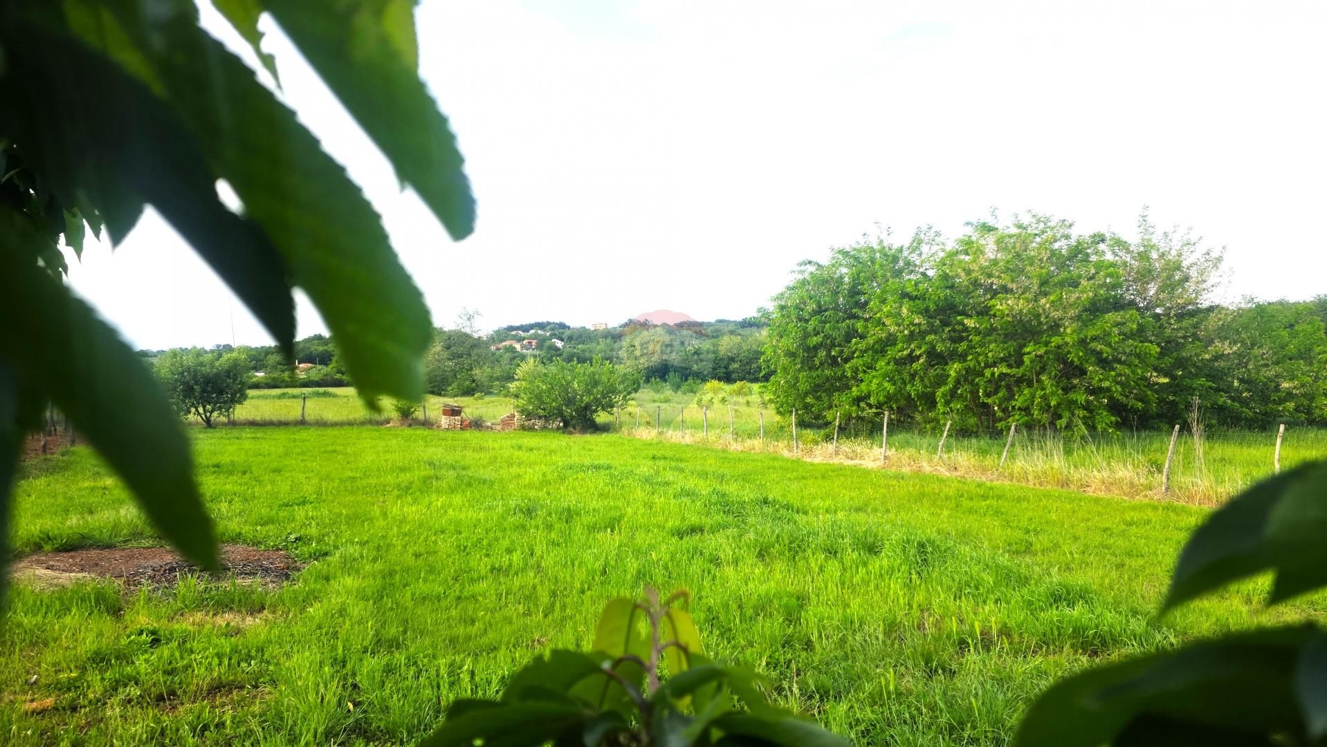 Fotografija