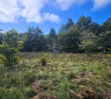 Zlobin, Brdo - negrađevinsko zemljište 7.470 m² - cover