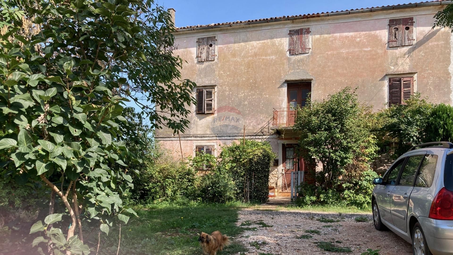 Fotografija