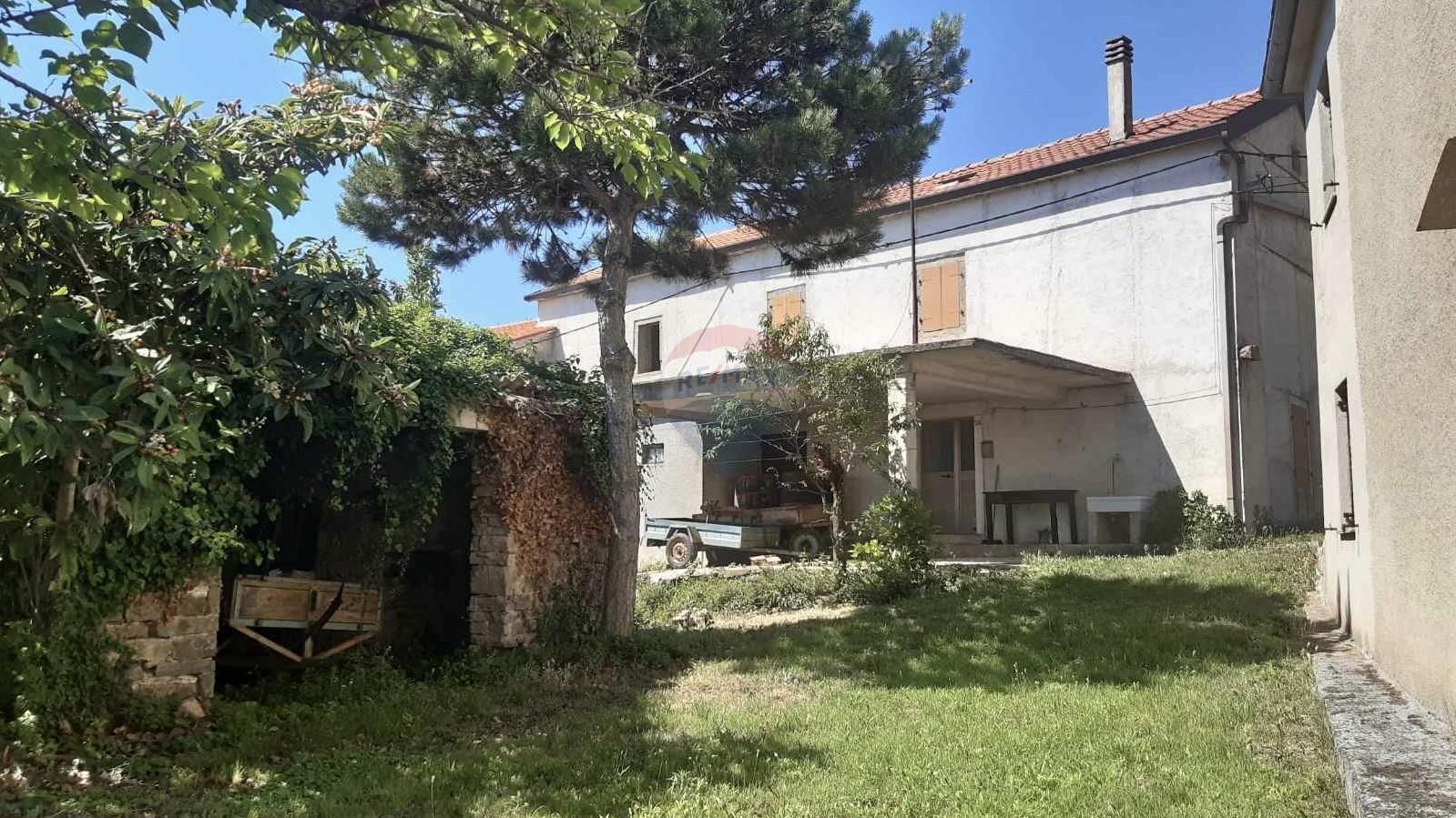 Fotografija