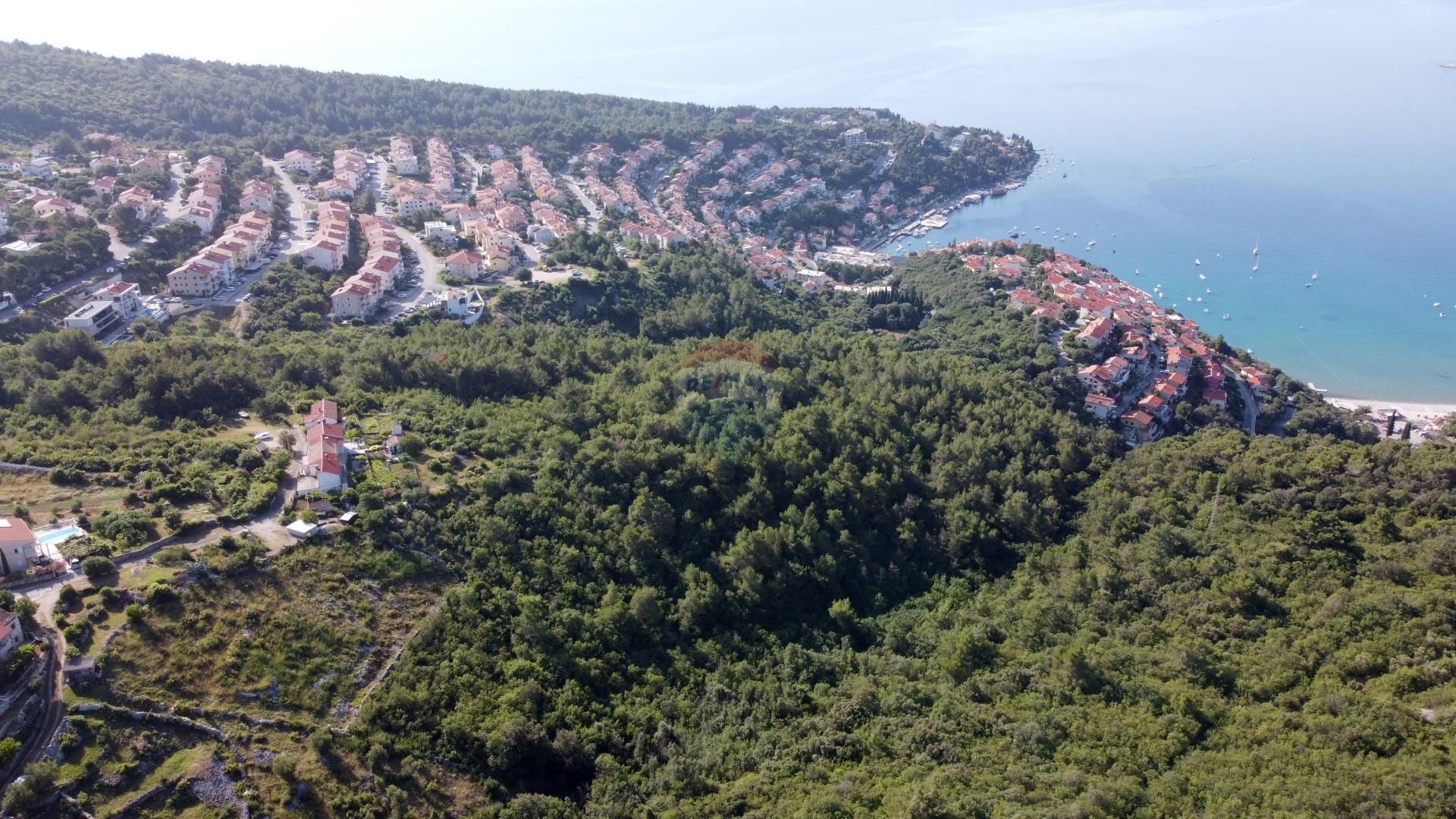 Fotografija