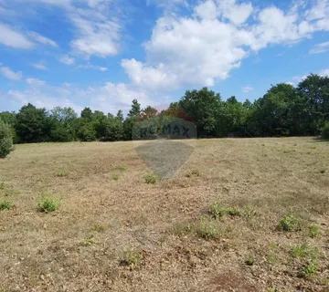 ISTRA, 2 h -poljoprivrednog zemljišta sa započetom gradnjom stambeno-gospodarskog objekta - cover