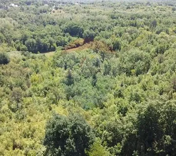 Istra, Baderna okolica, poljoprivredno zemljište- šuma, 6117 m2 - cover