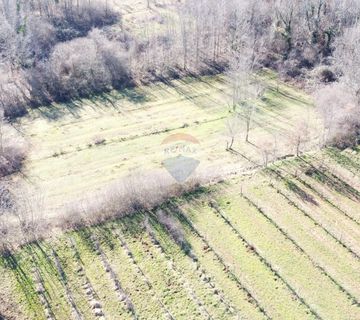 ISTRA, LABIN - Građevinsko-poljoprivredno zemljište 5750m2 - cover