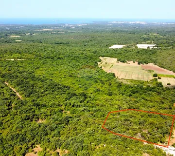 BALE - Šuma s panoramskim pogledom na more i Rovinj - cover