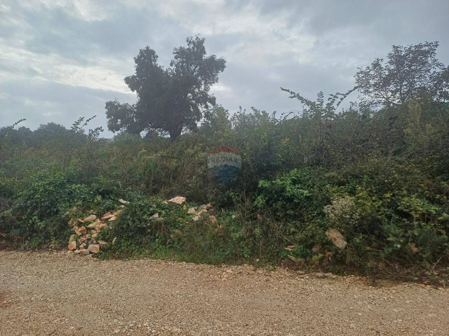 Fotografija