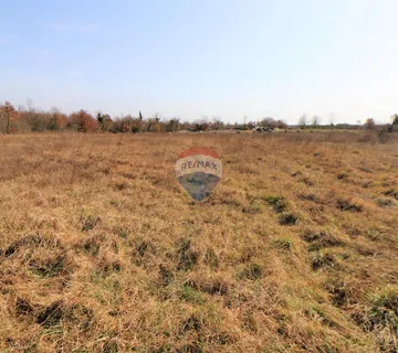 Istra, okolica Bala, poljoprivredno 9360m2 - cover