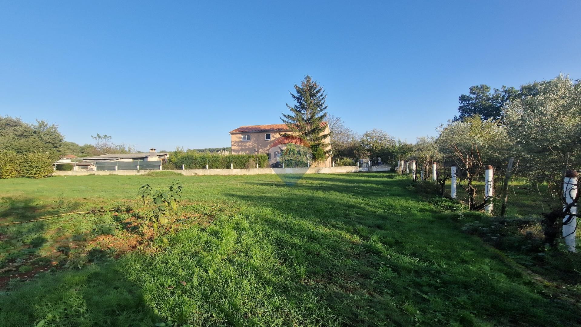 Fotografija