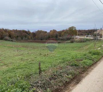 ISTRA, TINJAN - Građevinsko zemljište 1060 m2 - cover