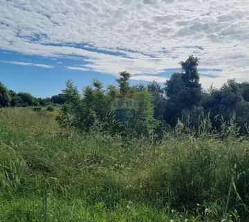 Premantura, poljoprivredno zemljište prvi red do mora  - cover