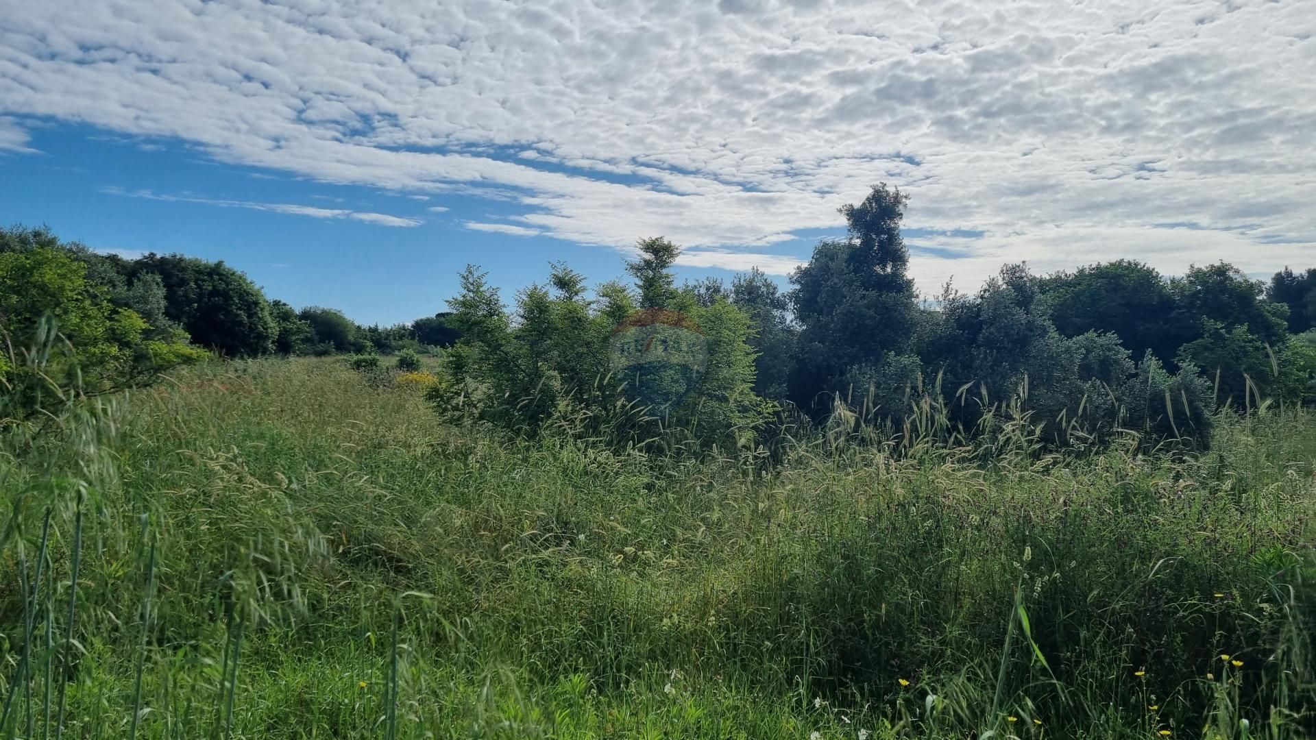 Fotografija