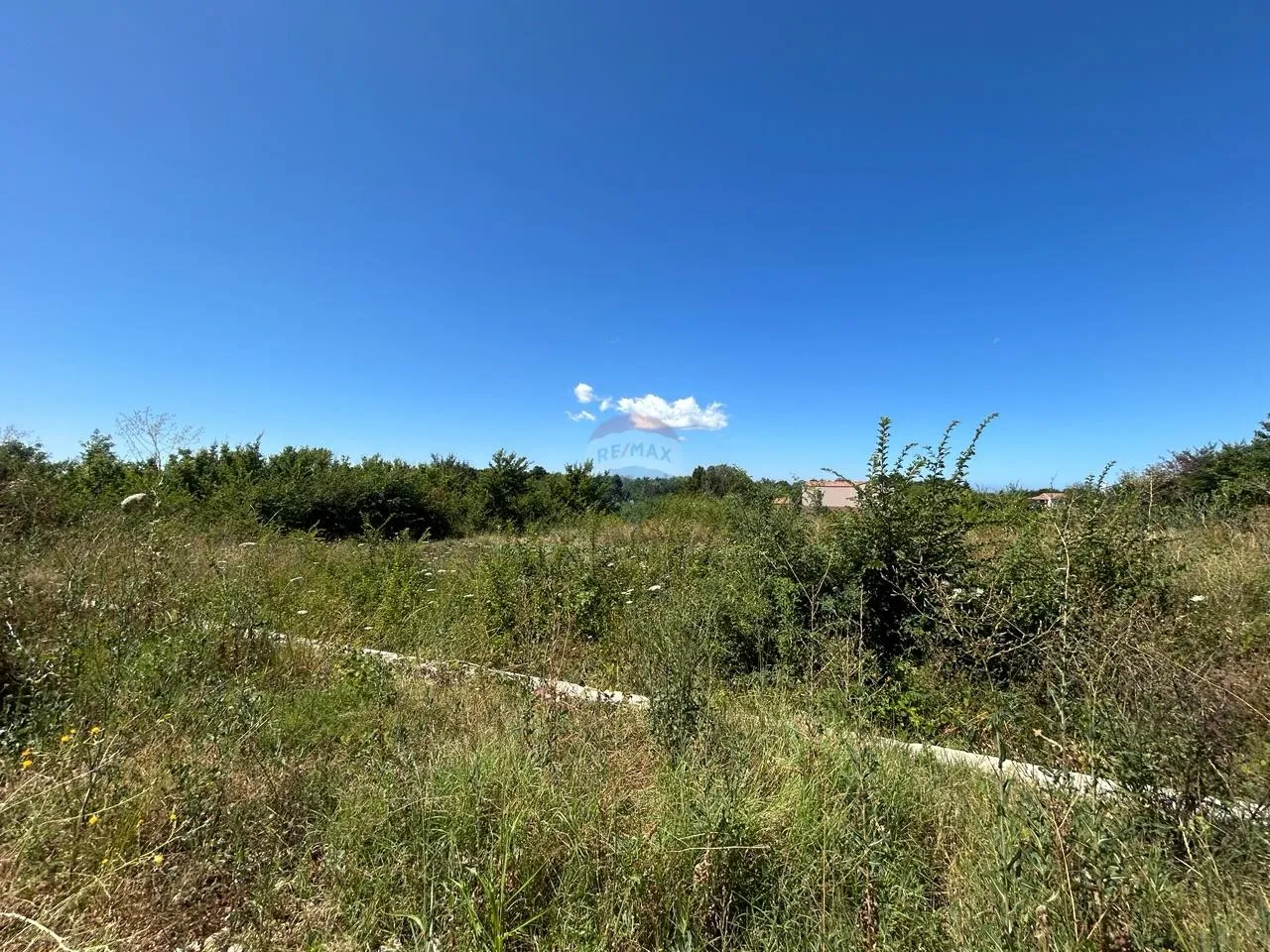 Fotografija