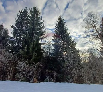 Leskova Draga - Šuma uz potočić površine 32524 m2 - cover