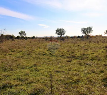 Bale,pašnjak blizu naselja s otvorenim pogledom na more i Brijune - cover