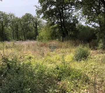 Peroj, prodaje se poljoprovredna parcela udaljena 550 m od mora - cover