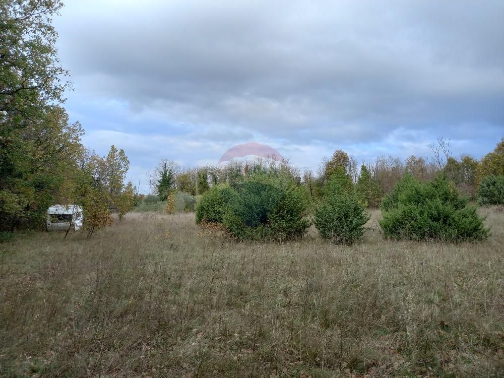 Fotografija