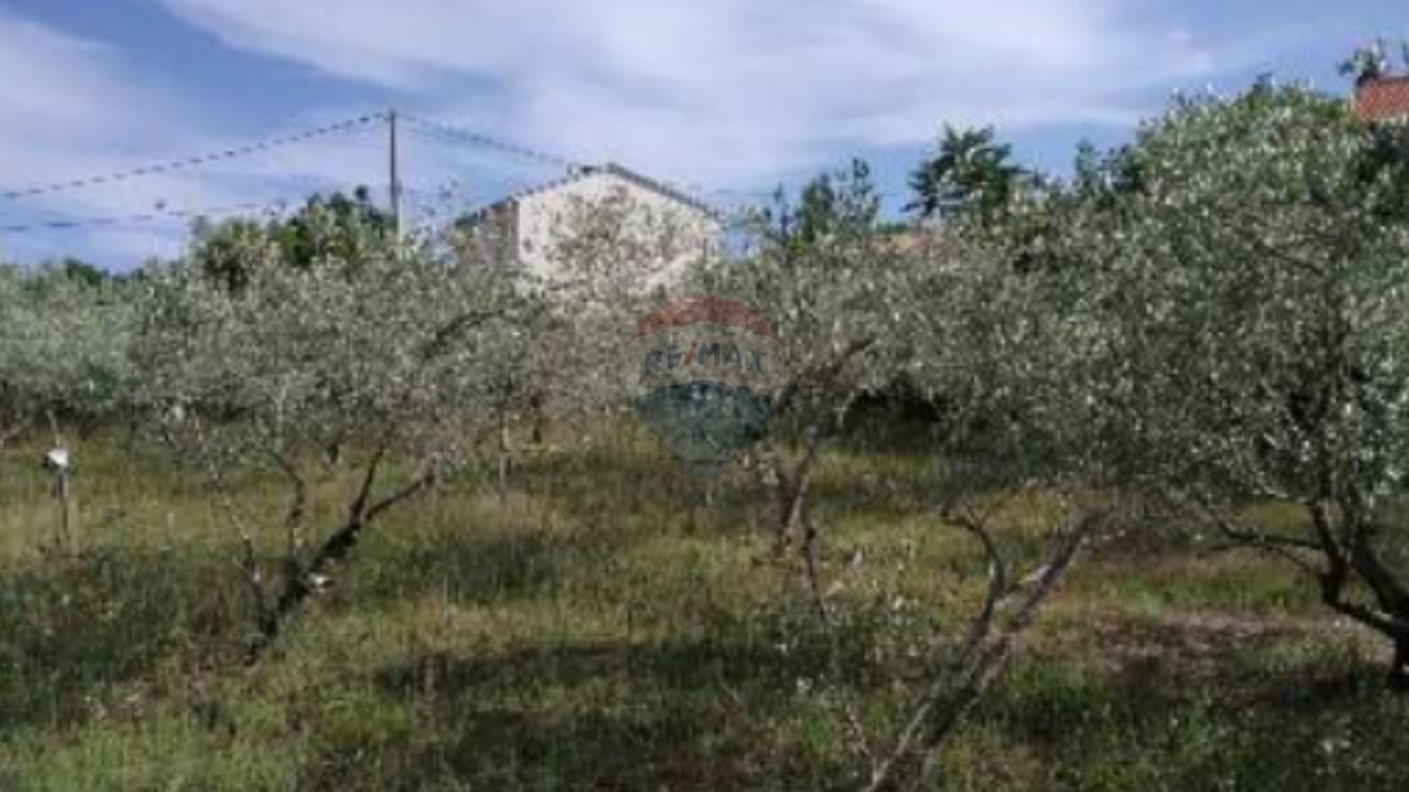 Fotografija
