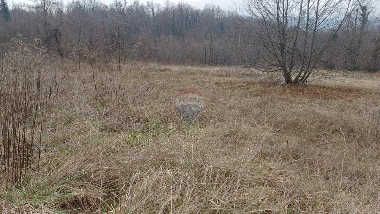 Fotografija