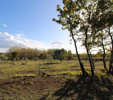 Istra,Kaštelir, Labinci, poljoprivredno zemljište, 8 578 m2 - cover